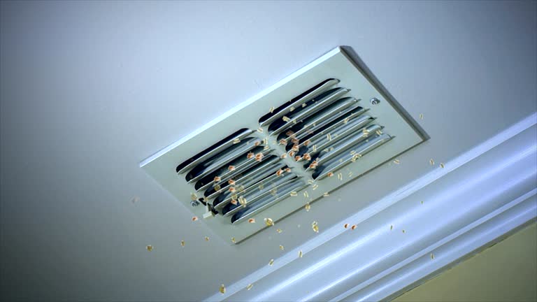 Best Duct Cleaning Specialists  in Lapwai, ID