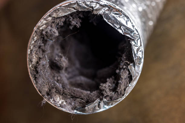 Best Air Duct Cleaning Company Near Me  in Lapwai, ID